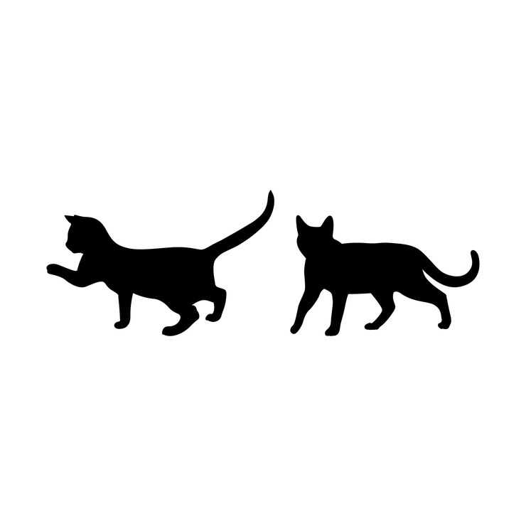Capturar el movimiento elegante de una silueta de gato
