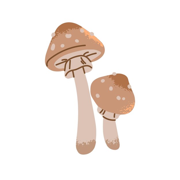Capucha de pantera o icono de amanita Hongo venenoso no comestible agárico Boleto venenoso en estilo dibujado a mano Planta forestal de hongo de rubor falso Ilustración de vector aislado plano en fondo blanco