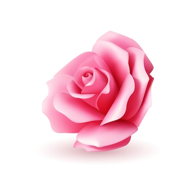 Capullo de flor de rosa orgánico rosa brillante fresco con pétalos icono 3d ilustración vectorial realista