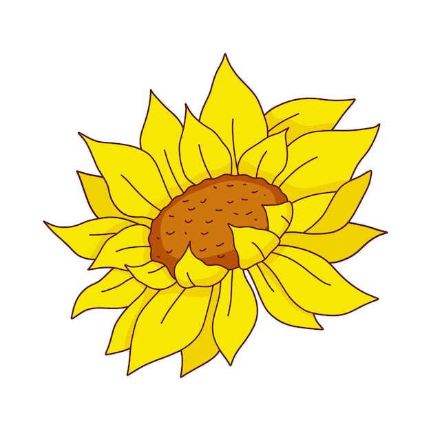 Capullo de girasol Ilustración de flor amarilla dibujada a mano botánica colorida aislada sobre fondo blanco Ilustración floral de dibujos animados planos vectoriales