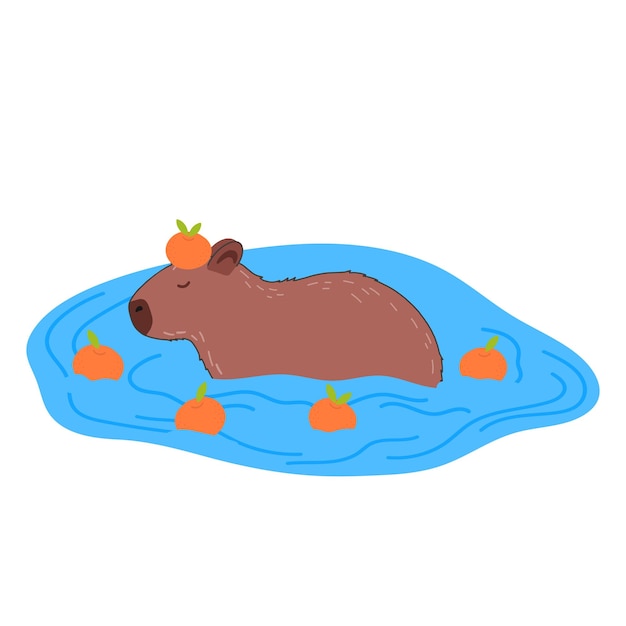 Capybara personaje divertido en diseño plano Capybara lindo nadando en el agua con mandarinas ilustración vectorial