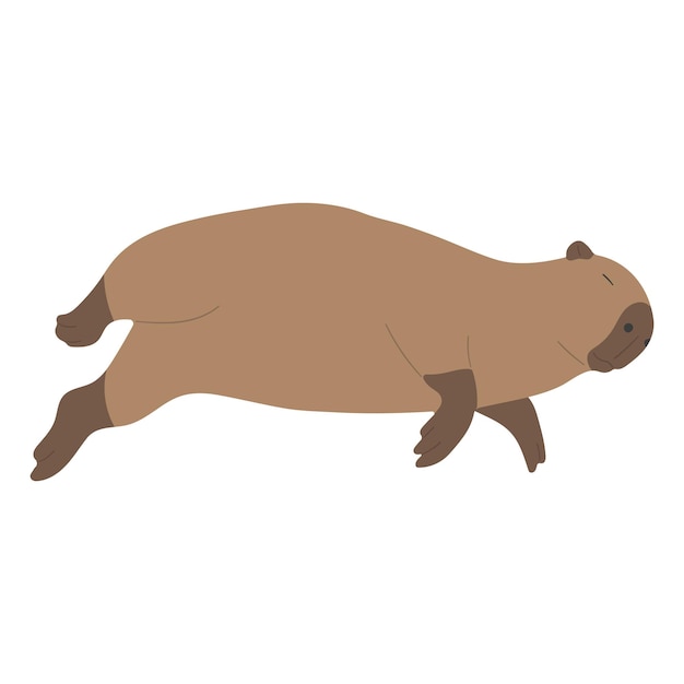 Capybara sencillo 30