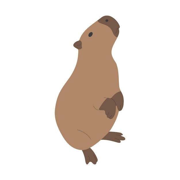Capybara, uno solo 9