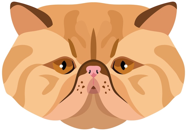 Vector la cara de un gato persa retrato vectorial de la cabeza de un gato sobre un fondo blanco el hocico de un animal del género felino