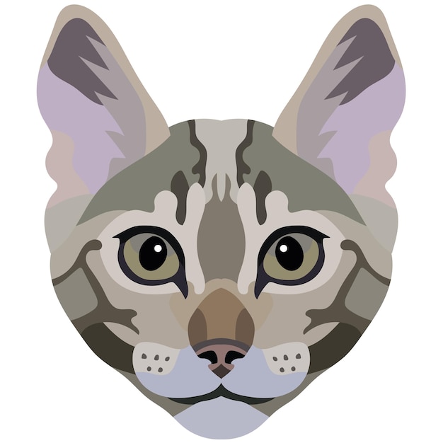 La cara de un gato Retrato vectorial de la cabeza de un gato sobre un fondo blanco El hocico de un animal del género felino