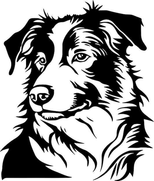 Cara de perro collie de frontera aislada en un fondo blanco SVG Vector Ilustración