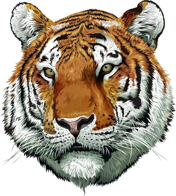 Vector cara de tigre