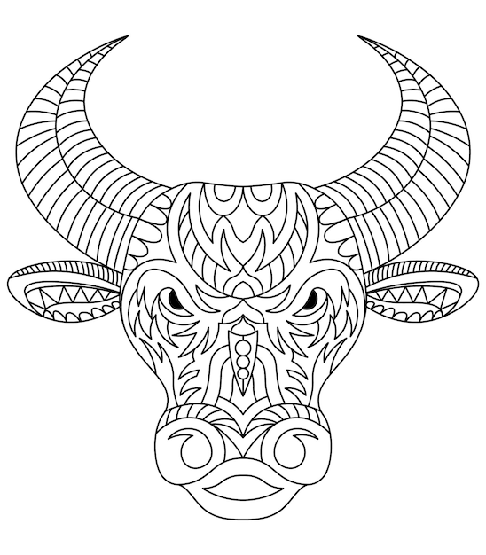 Vector cara de toro australiano antiestrés con hermoso garabato o patrón para colorear ilustración vectorial