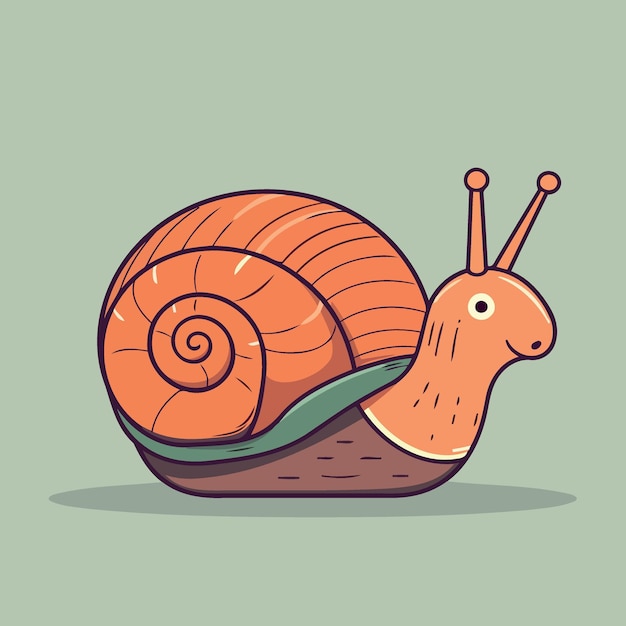 Caracol animal invertebrado