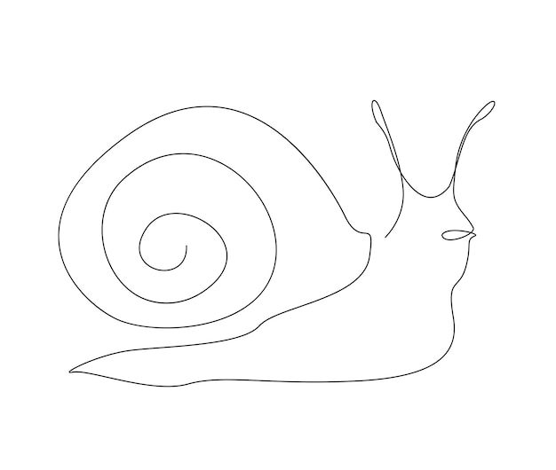 Un caracol con una gran concha