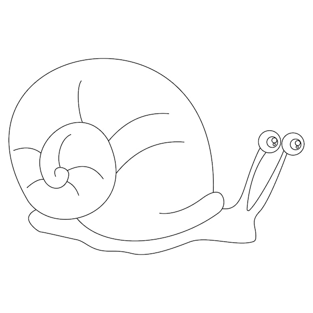 caracol imágenes prediseñadas de animales de granja