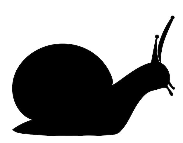 Caracol silueta negra, aislado, vector