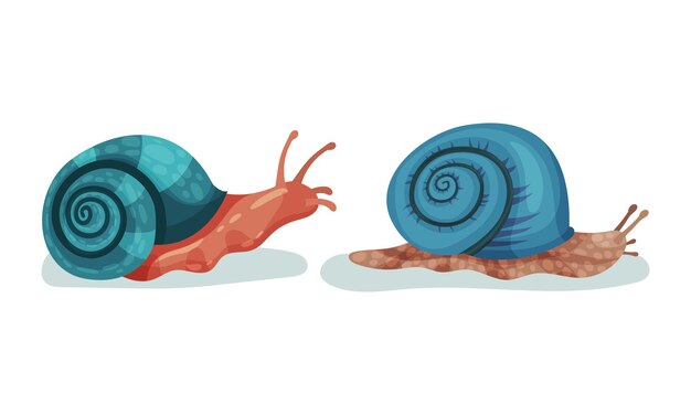 Caracoles rastreros como gasterópodos con concha con conjunto vectorial de concha enrollada