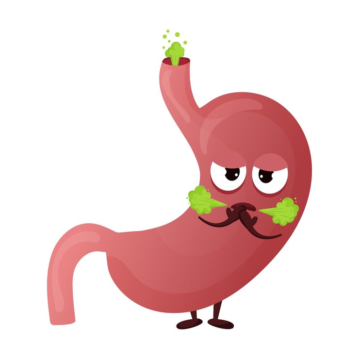 Vector carácter de estómago de dibujos animados concepto de acidez estomacal de órgano interno enfermo y eructos ilustración vectorial