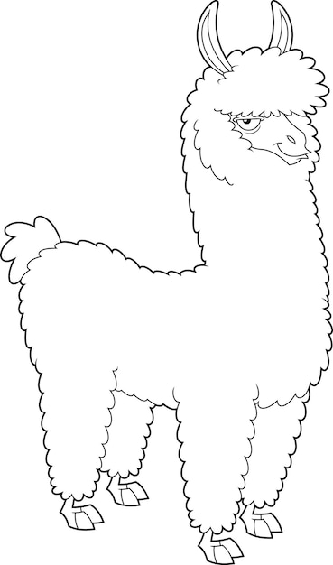 Caracteres de dibujos animados de animales llama dibujados a mano por vector