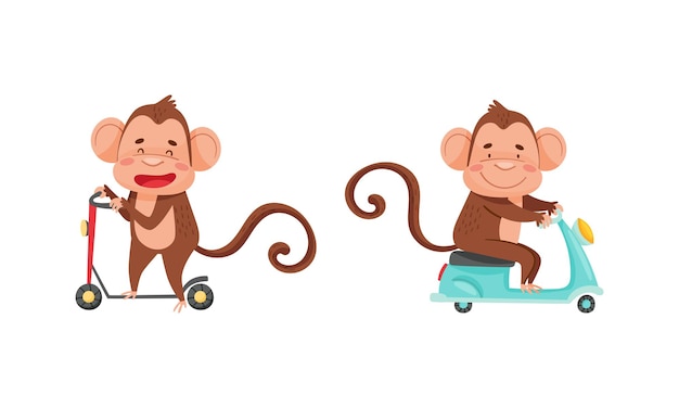 Caracteres de monos lindos en el conjunto de transporte animales de la selva divertidos montando patineta y motocicleta dibujos animados