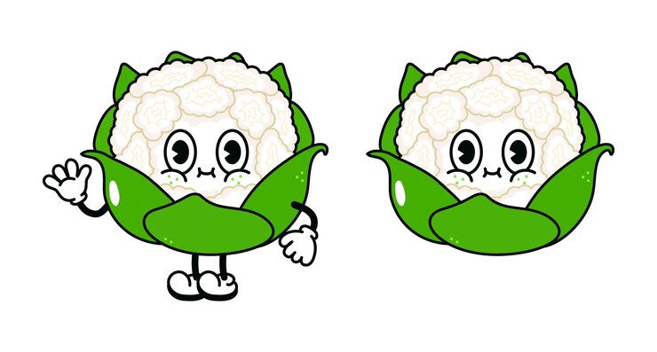 Vector característico de la coliflor