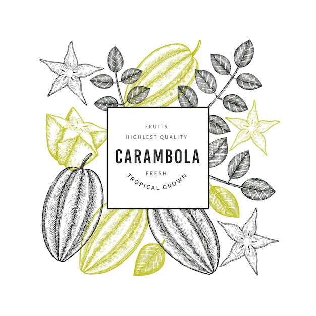 Carambola estilo boceto dibujado a mano. Ilustración de fruta fresca orgánica. Plantilla de fruta retro