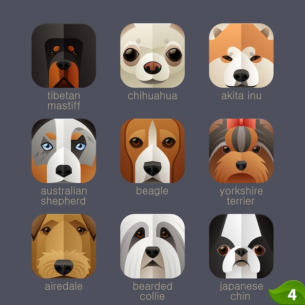 Caras de animales para iconos de aplicaciones