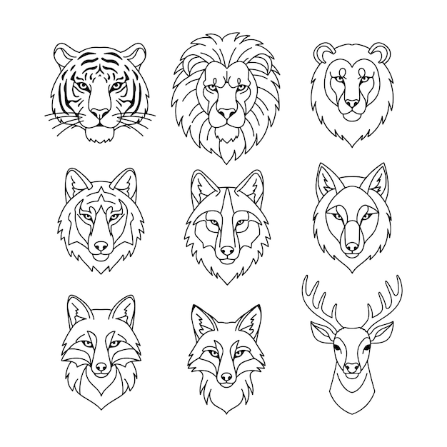 caras de animales lindos conjunto vectorial diseño de contorno con gatos perros tigre león lobo y ciervo ilustraciones