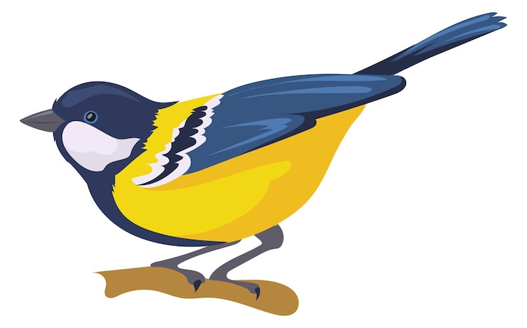 Vector carbonero, sentarse, en, árbol, naturaleza salvaje, pájaro amarillo