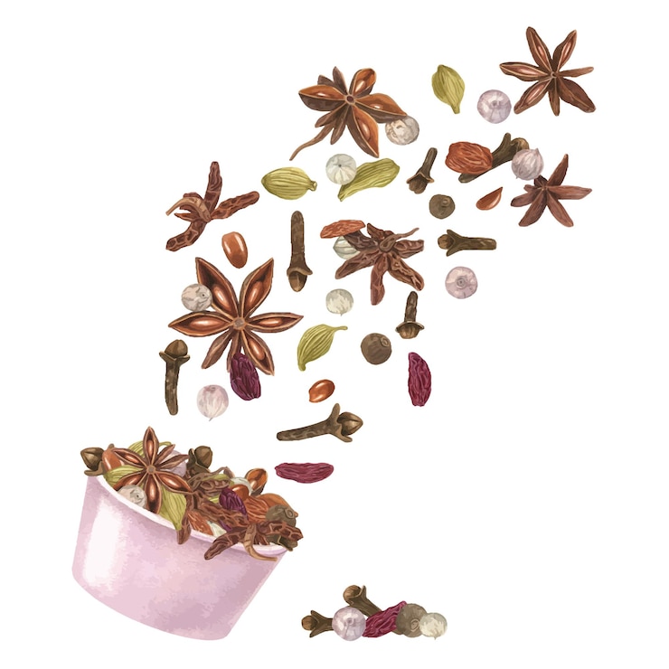 Vector cardamomo anís estrella clavo pasas y pimienta blanca en cuenco rosa aroma volador rico especia de invierno ingredientes de aroma para bebidas de navidad y panadería alimentos orgánicos ilustración en acuarela para el diseño del menú