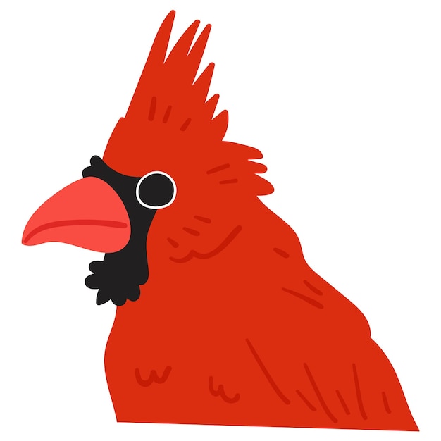 Vector cardenal. pájaro. ilustración de vector plano dibujado a mano sobre fondo blanco.