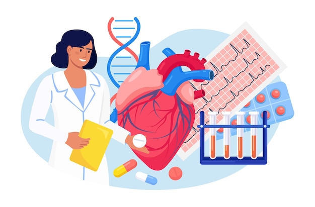 Cardiología. el cardiólogo examina el corazón humano. el médico trata la enfermedad cardíaca, verifica el pulso y los latidos cardíacos del paciente, cardiograma, diagnóstico de accidente cerebrovascular. presión cardiovascular examen médico