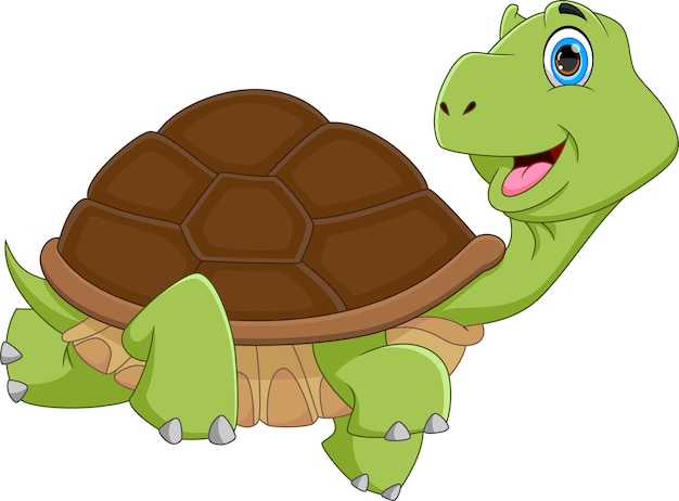 caricatura, divertido, tortuga, aislado, blanco, plano de fondo