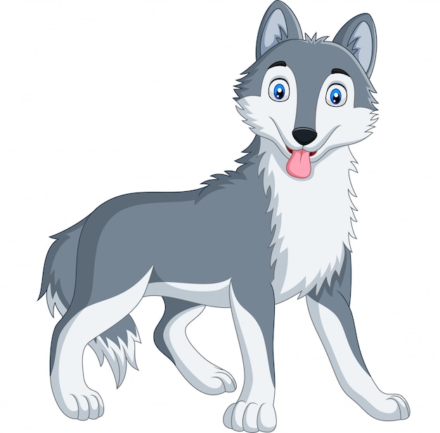 Vector caricatura lindo lobo sobre fondo blanco