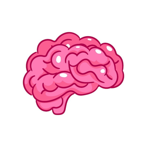 Caricatura de órganos del cerebro humano anatomía humana biología sistema de órganos del cuerpo atención médica y médica