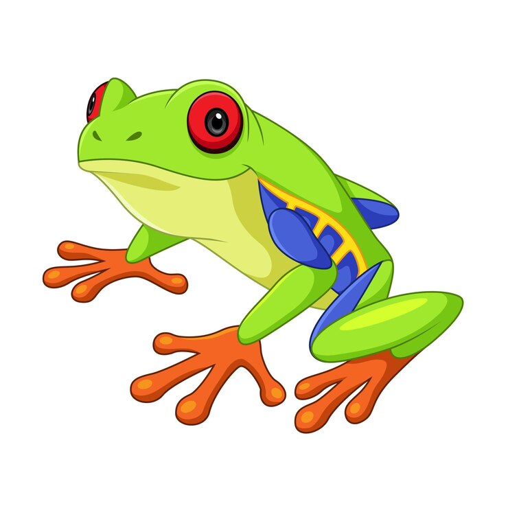 Vector caricatura de rana de árbol verde sobre un fondo blanco
