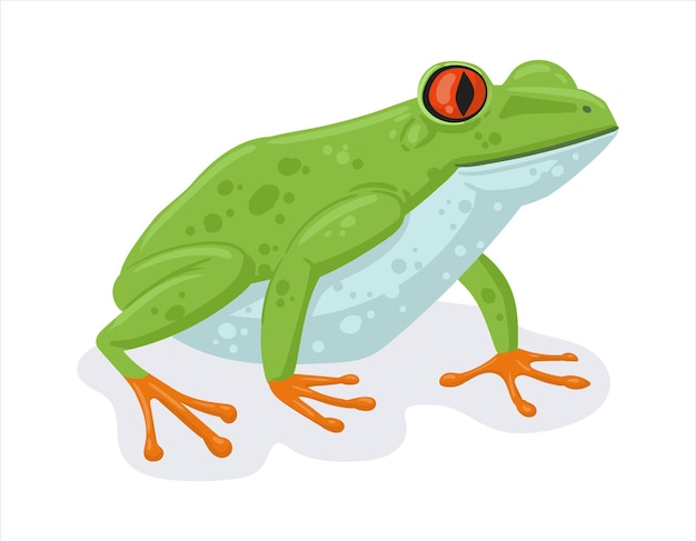 Caricatura de rana tropical Exótico bosque tropical anfibio animal verde rana exótica ilustración vectorial plana Rana linda sobre un fondo blanco