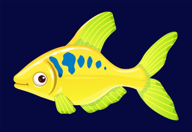 Vector caricatura, tetra, acuario, pez, divertido, carácter, océano, arrecife, submarino, vida, agua, animal, o, acuático, ambiente, feliz, vector, mascota, océano, ecosistema, acuario, pez, divertido, personaje