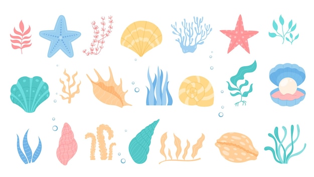 Caricaturas de diversos océanos que incluyen conchas marinas plantas acuáticas estrellas de mar y corales coloridos marinos