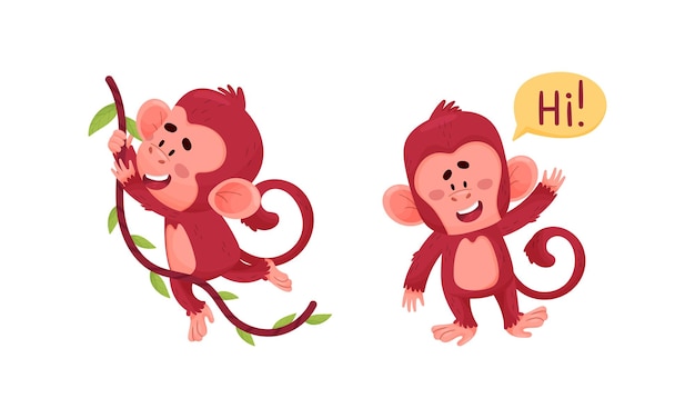 Cariñosas y divertidas acciones de monos pequeños animales bebé balanceándose en la vid y diciendo Hola ilustración vectorial