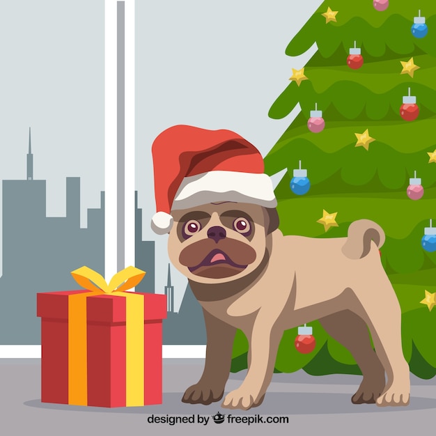 Vector carlino adorable con elementos de navidad