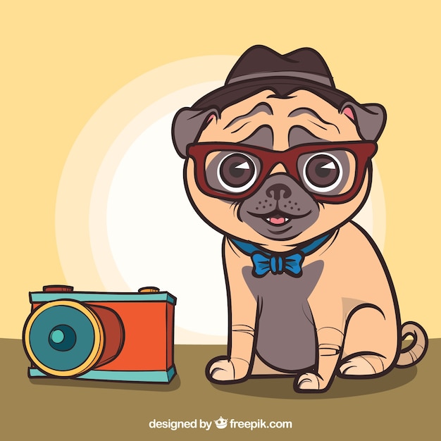 Carlino adorable con estilo de fotógrafo