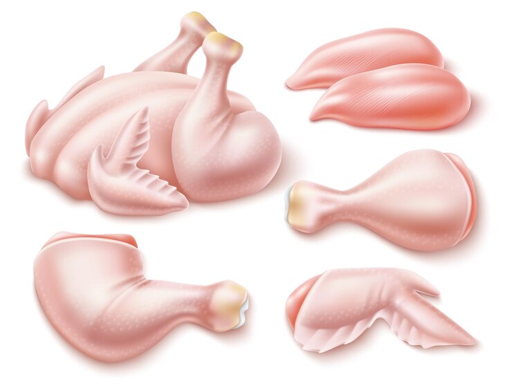 Vector carne de pollo realista pavo crudo carcasa entera de aves de corral y partes individuales pecho y canillas sin cocer muslos y alas alimentos proteicos barbacoa y parrilla ingrediente conjunto de vectores utter.