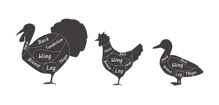 Vector carnicería pavo pato pollo carne agrícola mercado de agricultores diagrama carnicero mascotas pavo