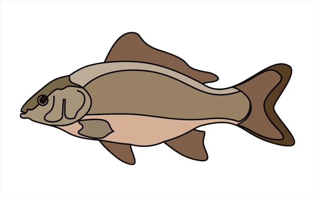 carpa fish.line icon.vector ilustración diseño