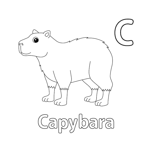 Vector carpincho animal alfabeto abc aislado para colorear c