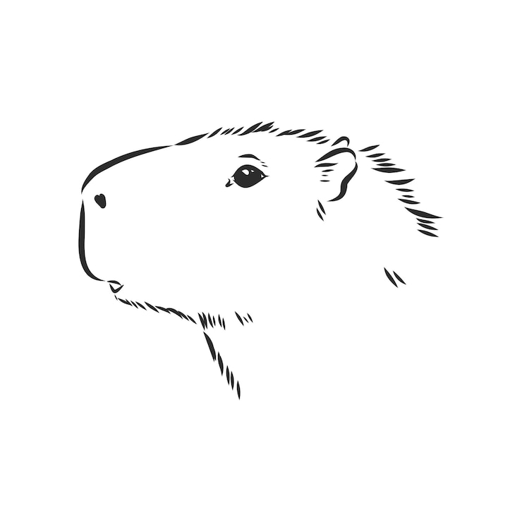 Vector carpincho dibujo a mano serie animales de américa del sur