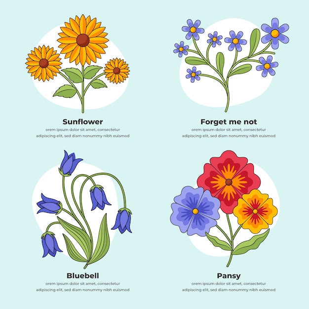 Vector carta de flores botánicas dibujadas a mano