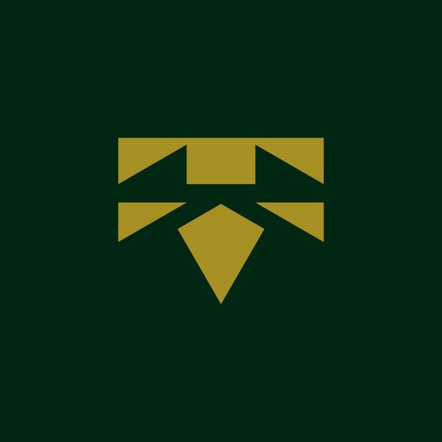 carta moderna abstracta TF o logotipo elegante FT