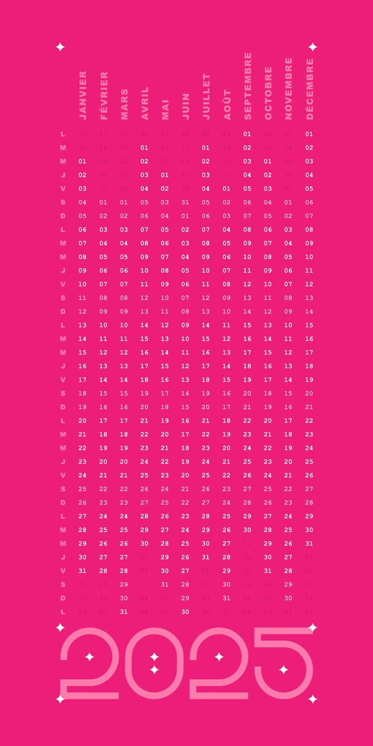 Vector carte rose calendrier 2025 fechas franquicias diseño vertical simple modificable color