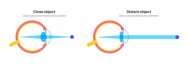 Vector cartel de alojamiento para los ojos