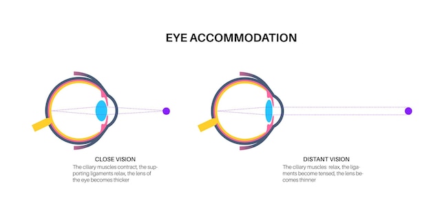 Vector cartel de alojamiento para los ojos