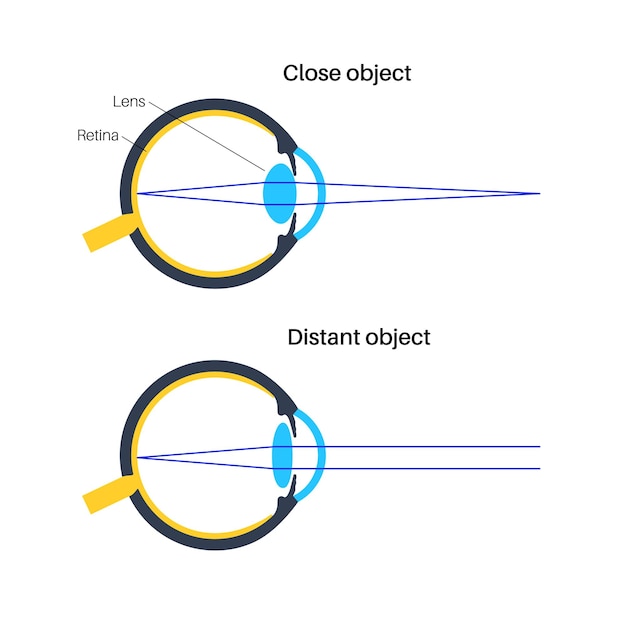 Vector cartel de alojamiento para los ojos