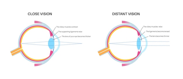 Vector cartel de alojamiento para los ojos